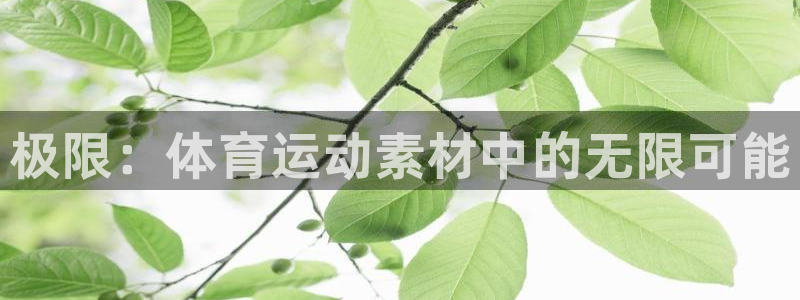 米兰体育官方正版app新能源:极限:体育运动素材中的无限可能