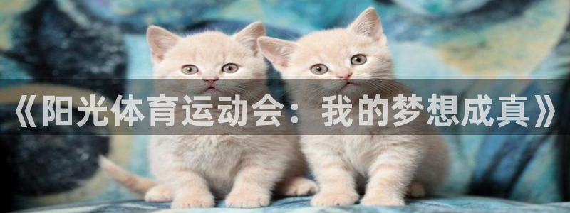 米兰体育官网下载平台:《阳光体育运动会:我的梦想成真》