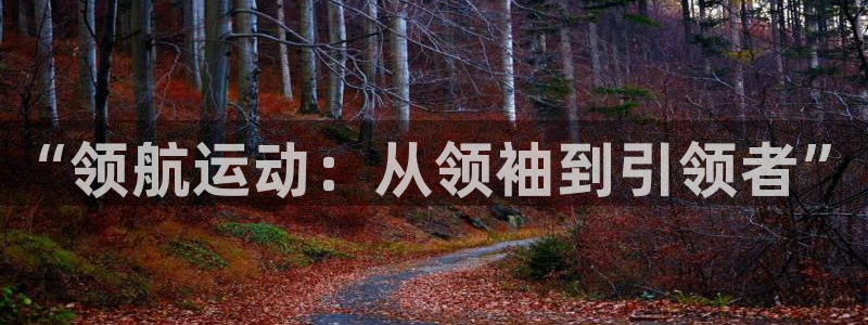 米兰体育官方正版app娱乐首页网站大全:“领航运动:从领袖到